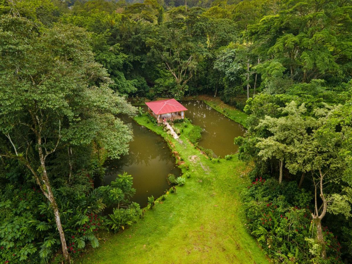 Ara Ambigua Lodge Sarapiquí Esterno foto