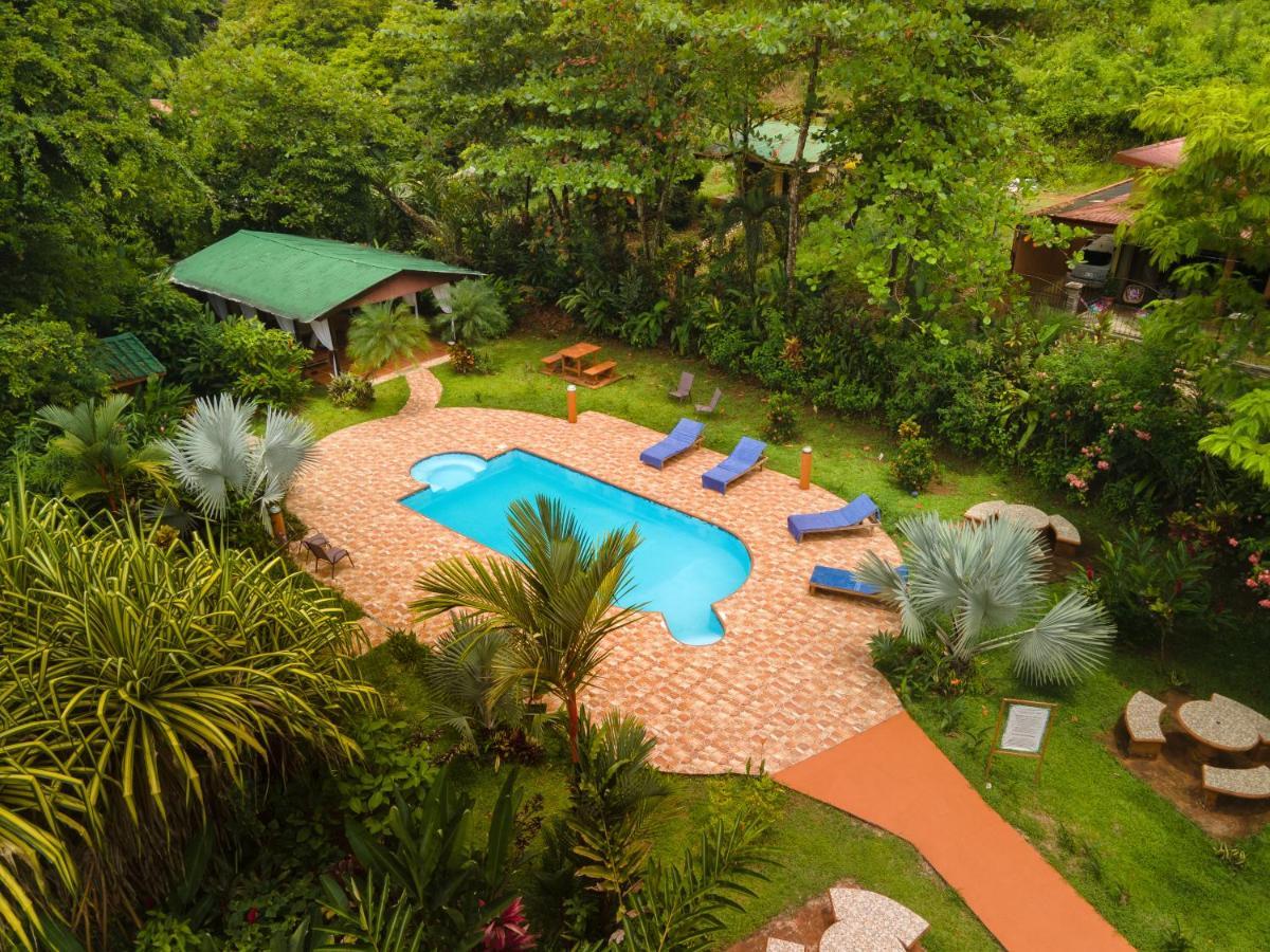 Ara Ambigua Lodge Sarapiquí Esterno foto