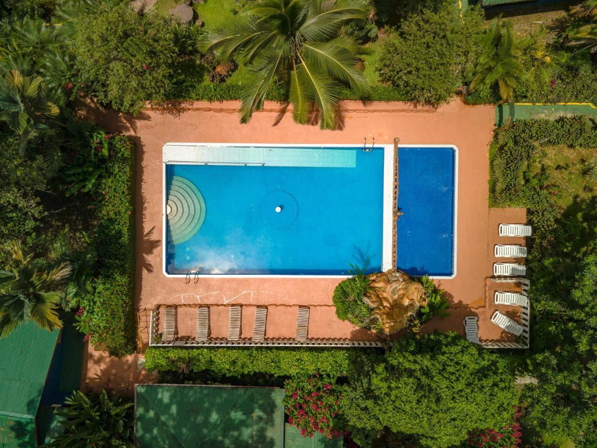 Ara Ambigua Lodge Sarapiquí Esterno foto