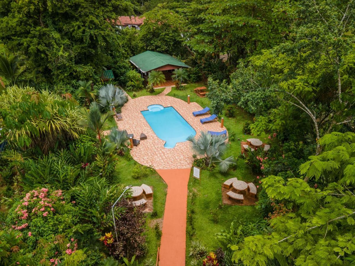 Ara Ambigua Lodge Sarapiquí Esterno foto