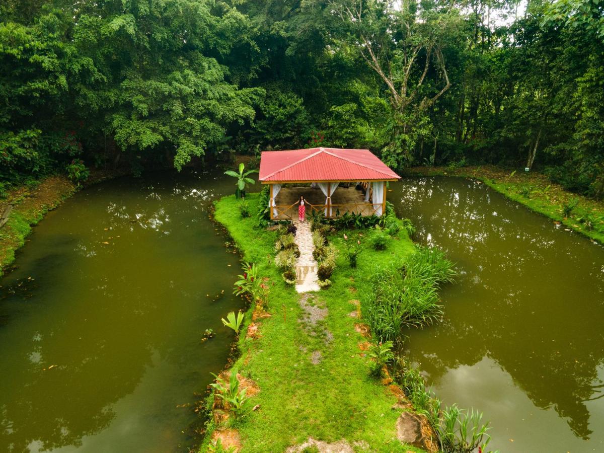 Ara Ambigua Lodge Sarapiquí Esterno foto