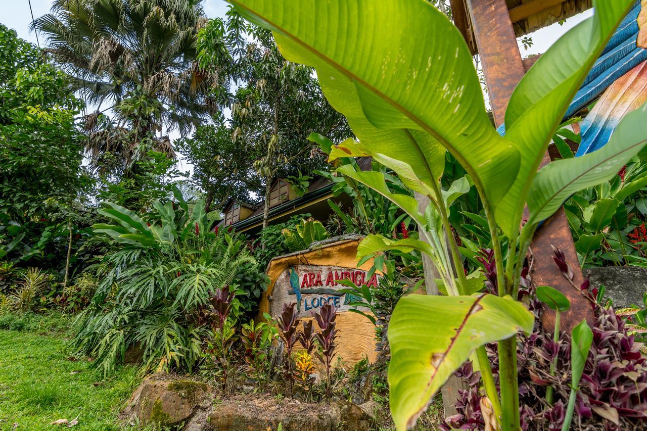 Ara Ambigua Lodge Sarapiquí Esterno foto