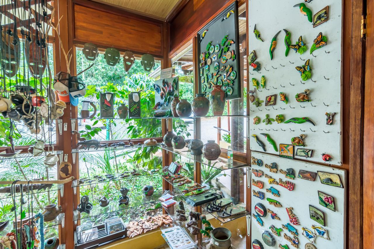 Ara Ambigua Lodge Sarapiquí Esterno foto