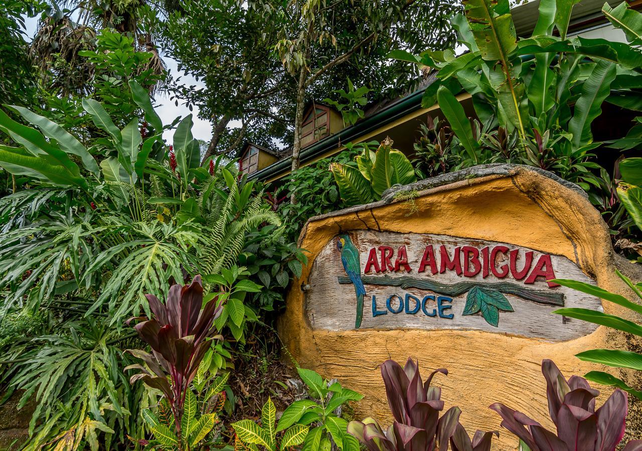Ara Ambigua Lodge Sarapiquí Esterno foto
