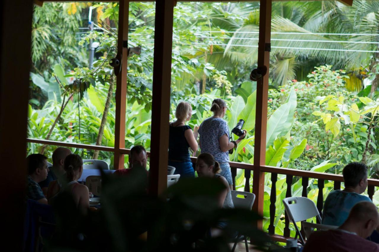 Ara Ambigua Lodge Sarapiquí Esterno foto
